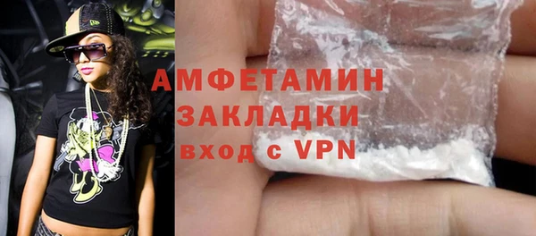 твердый Арсеньев