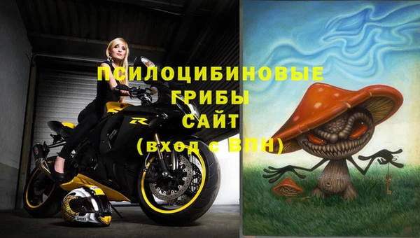 ALPHA-PVP Армянск