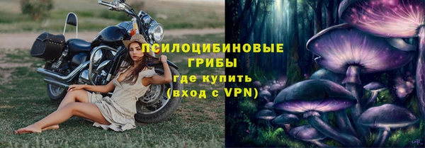 твердый Арсеньев