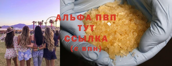 твердый Арсеньев